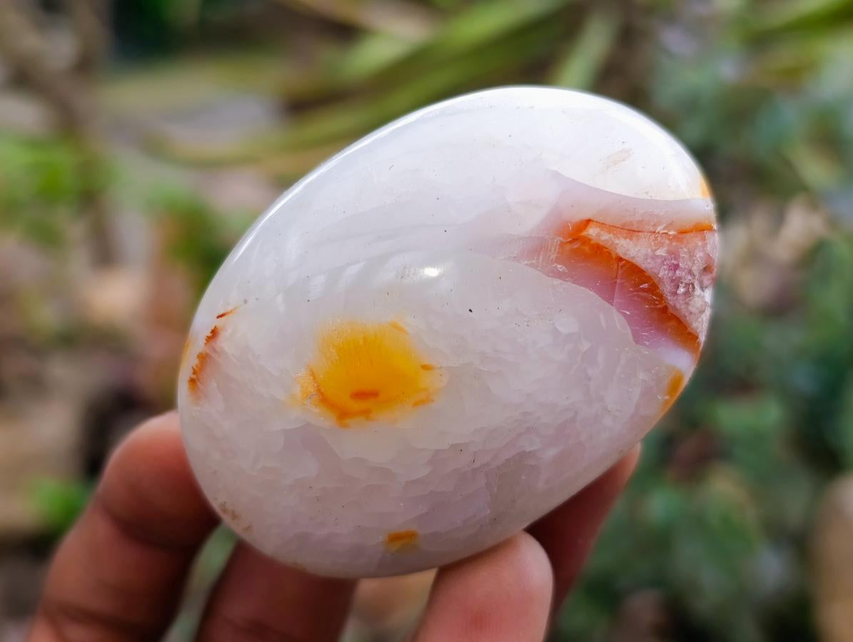 Polished Carnelian Agate Gemstone Galets x 12 From Madagascar