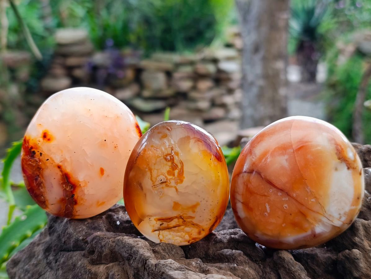 Polished Carnelian Agate Gemstone Galets x 12 From Madagascar
