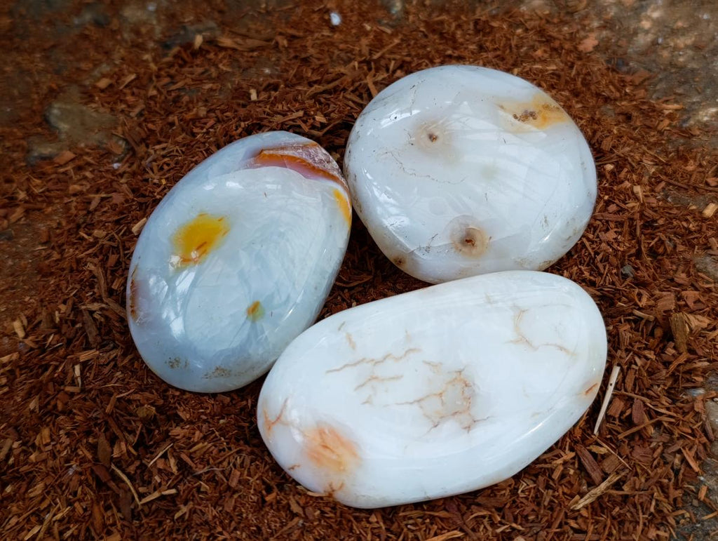 Polished Carnelian Agate Gemstone Galets x 12 From Madagascar