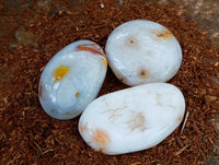 Polished Carnelian Agate Gemstone Galets x 12 From Madagascar
