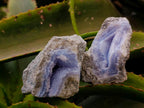 Natural Blue Lace Agate Geode Specimens x 12 From Nsanje, Malawi - Toprock Gemstones and Minerals 