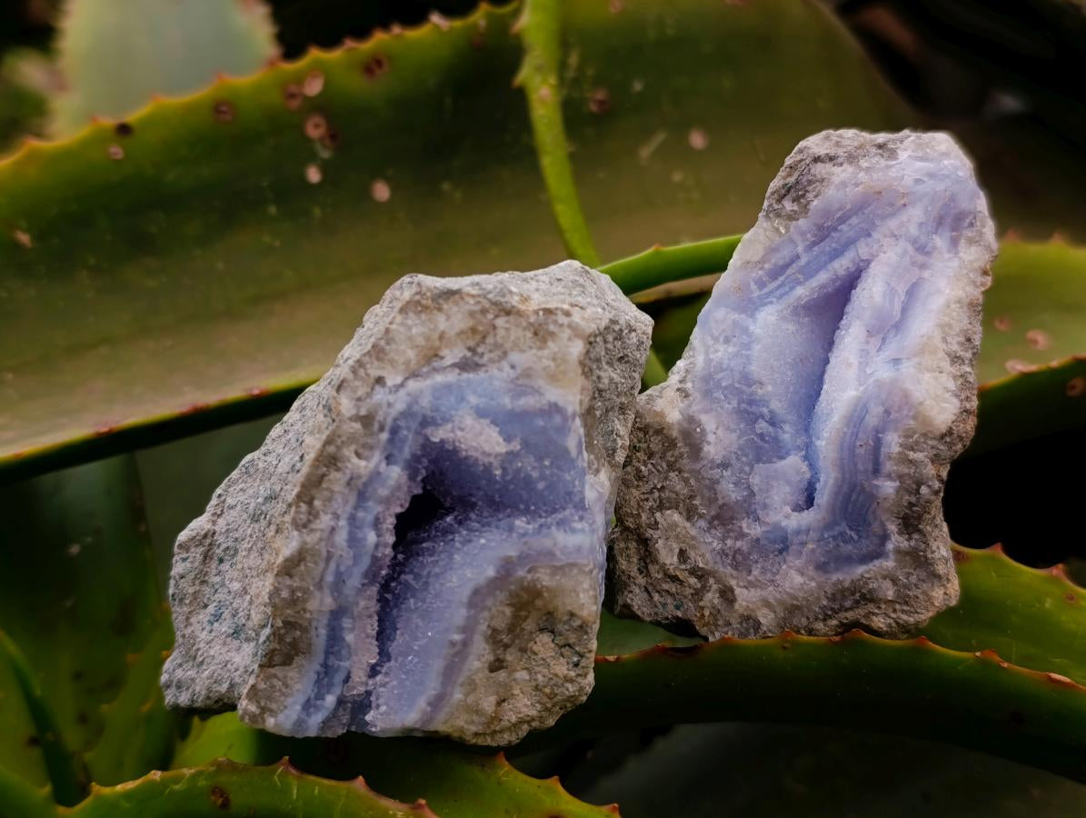 Natural Blue Lace Agate Geode Specimens x 12 From Nsanje, Malawi
