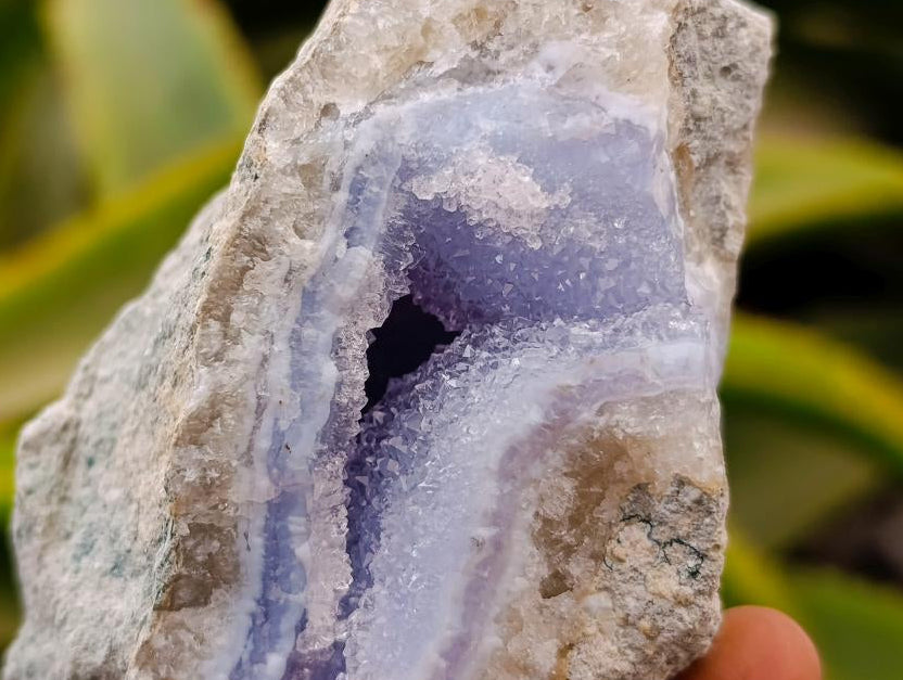 Natural Blue Lace Agate Geode Specimens x 12 From Nsanje, Malawi