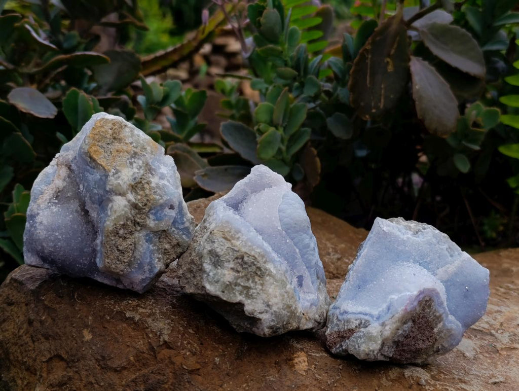Natural Blue Lace Agate Geode Specimens x 12 From Nsanje, Malawi - Toprock Gemstones and Minerals 