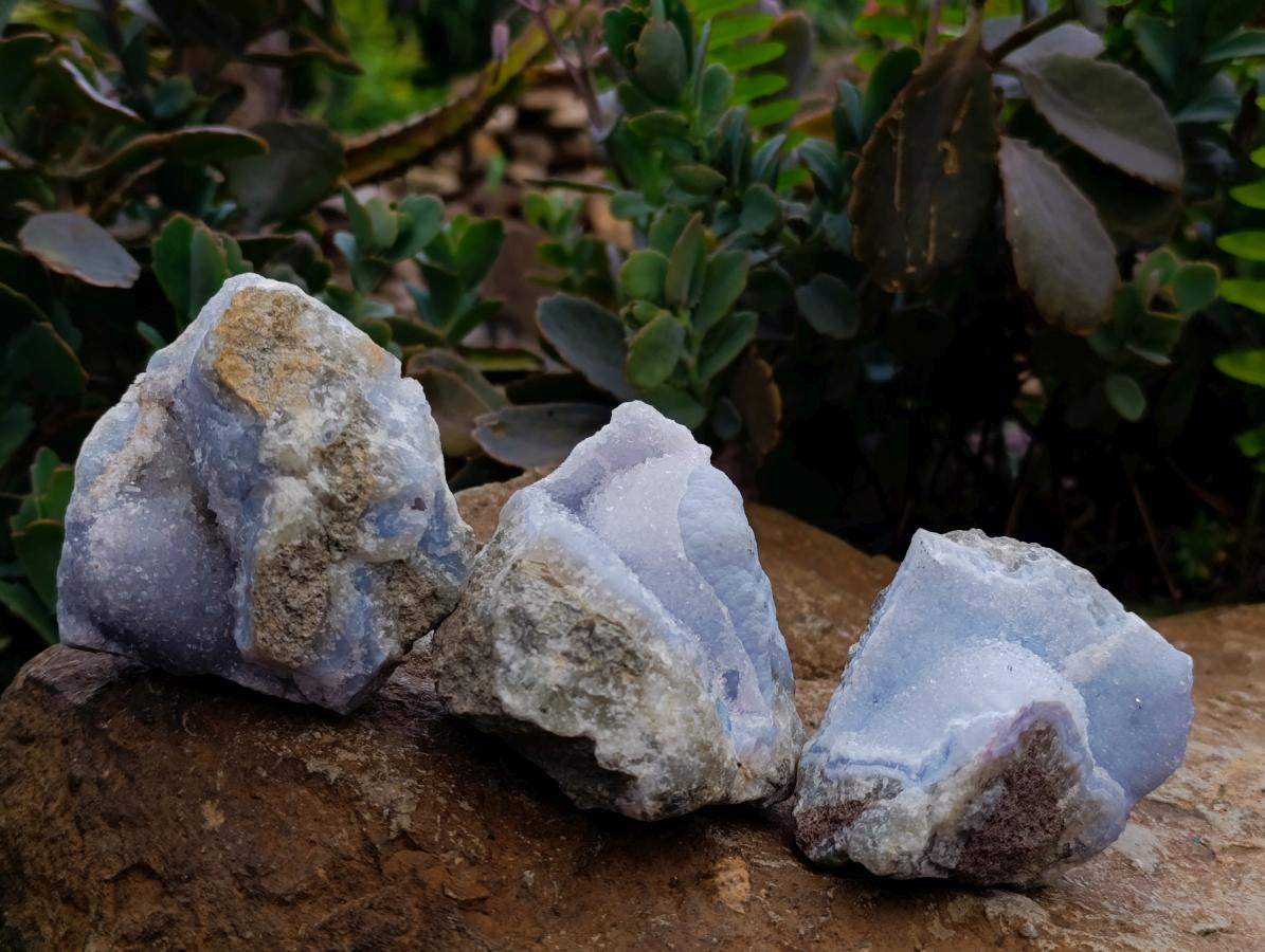 Natural Blue Lace Agate Geode Specimens x 12 From Nsanje, Malawi