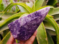 Polished Lepidolite Points x 2 From Zimbabwe