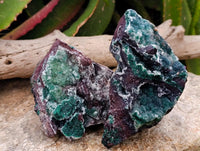 Natural Drusy Quartz Coated Ball Malachite On Dolomite Specimens x 2 From Mindingi Mine, Kambove, Congo