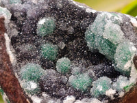 Natural Drusy Quartz Coated Ball Malachite On Dolomite Specimens x 2 From Mindingi Mine, Kambove, Congo