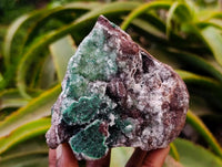 Natural Drusy Quartz Coated Ball Malachite On Dolomite Specimens x 2 From Mindingi Mine, Kambove, Congo