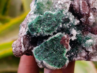Natural Drusy Quartz Coated Ball Malachite On Dolomite Specimens x 2 From Mindingi Mine, Kambove, Congo