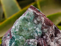 Natural Drusy Quartz Coated Ball Malachite On Dolomite Specimens x 2 From Mindingi Mine, Kambove, Congo