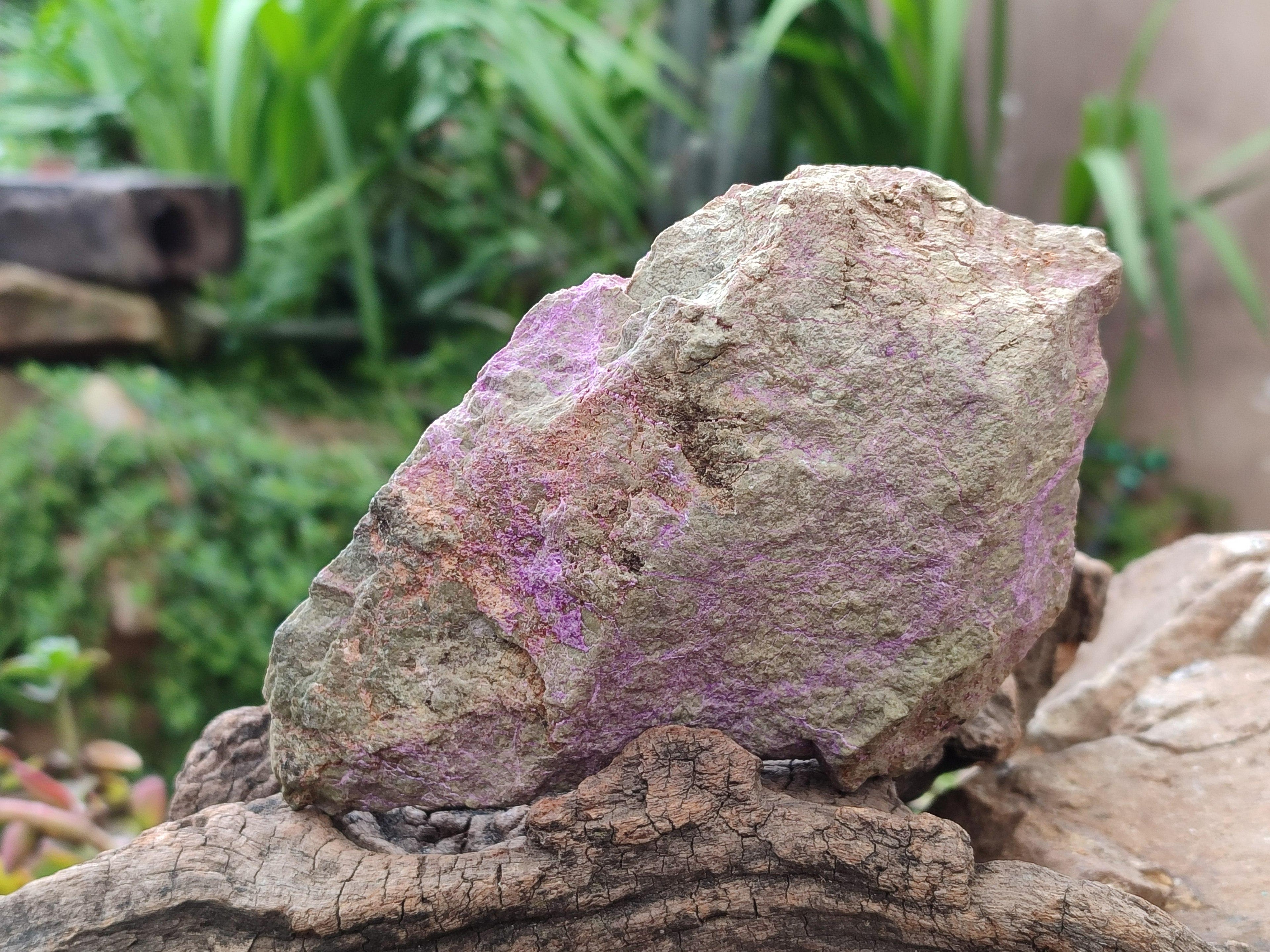 Natural Stichtite Cobbed Specimens x 4 From Barberton, South Africa