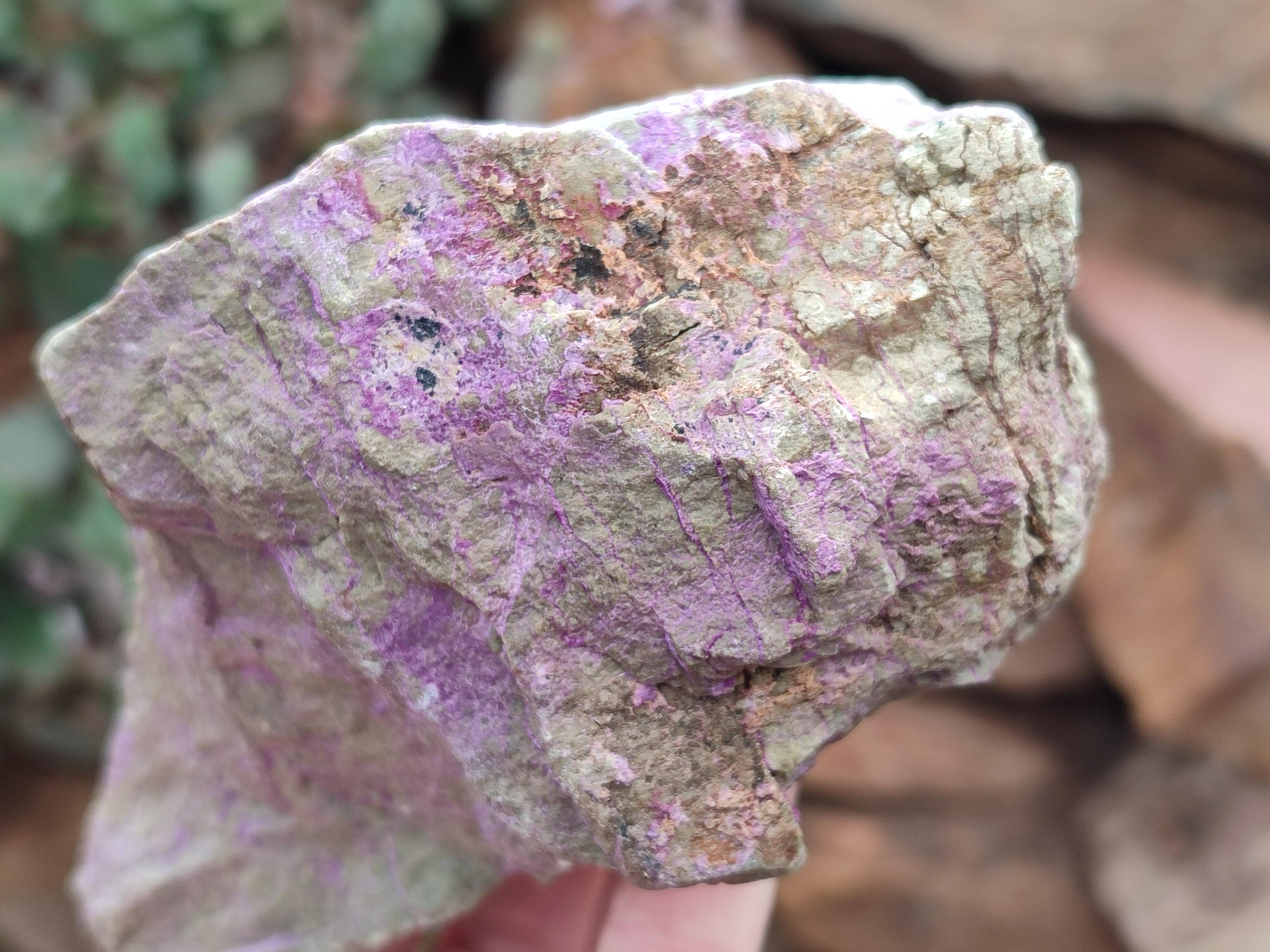 Natural Stichtite Cobbed Specimens x 4 From Barberton, South Africa