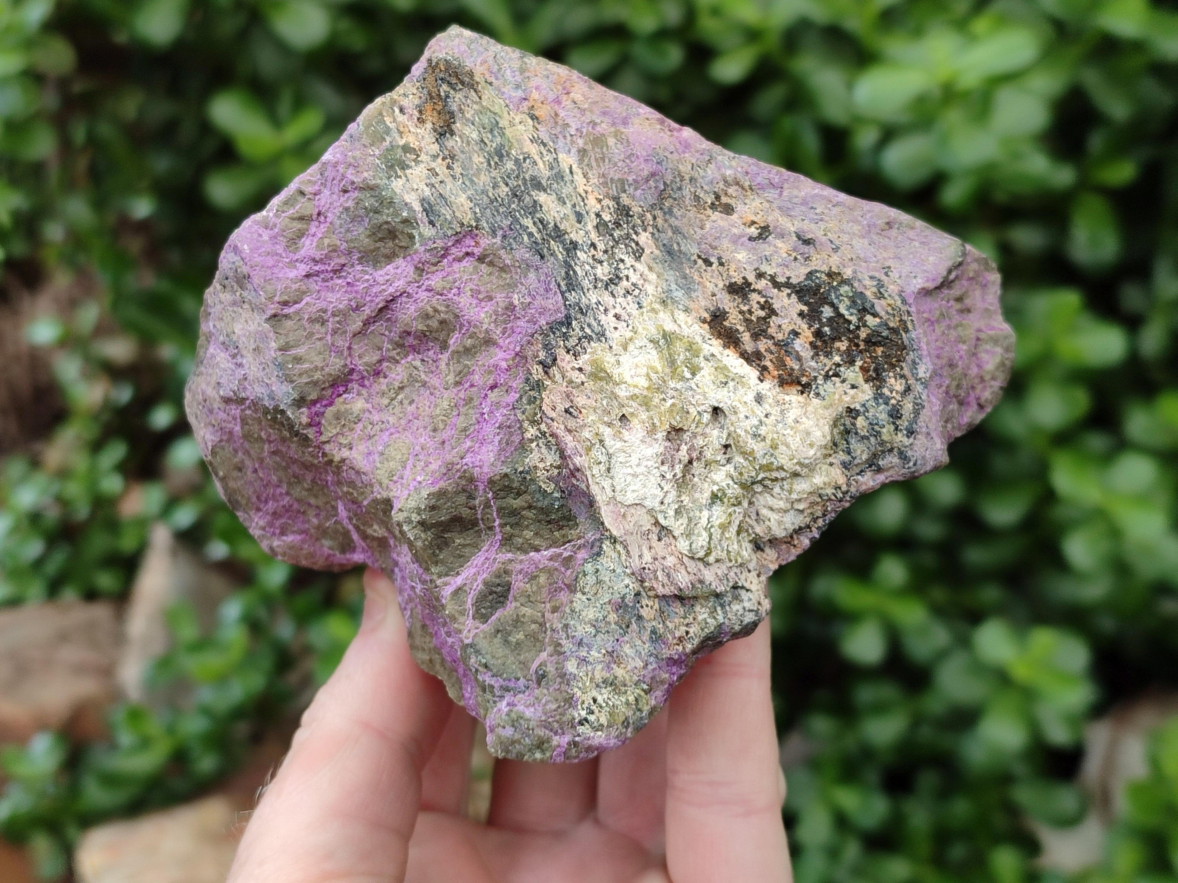 Natural Stichtite Cobbed Specimens x 4 From Barberton, South Africa