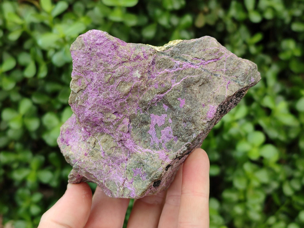 Natural Stichtite Cobbed Specimens x 4 From Barberton, South Africa