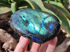 Polished Labradorite Hearts x 4 From Tulear, Madagascar