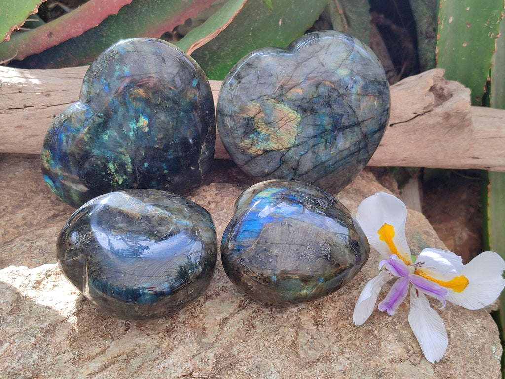 Polished Labradorite Hearts x 4 From Tulear, Madagascar
