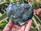 Polished Labradorite Hearts x 4 From Tulear, Madagascar