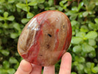 Polished Red Podocarpus Petrified Wood Standing Free Forms x 4 From Mahajanga, Madagascar