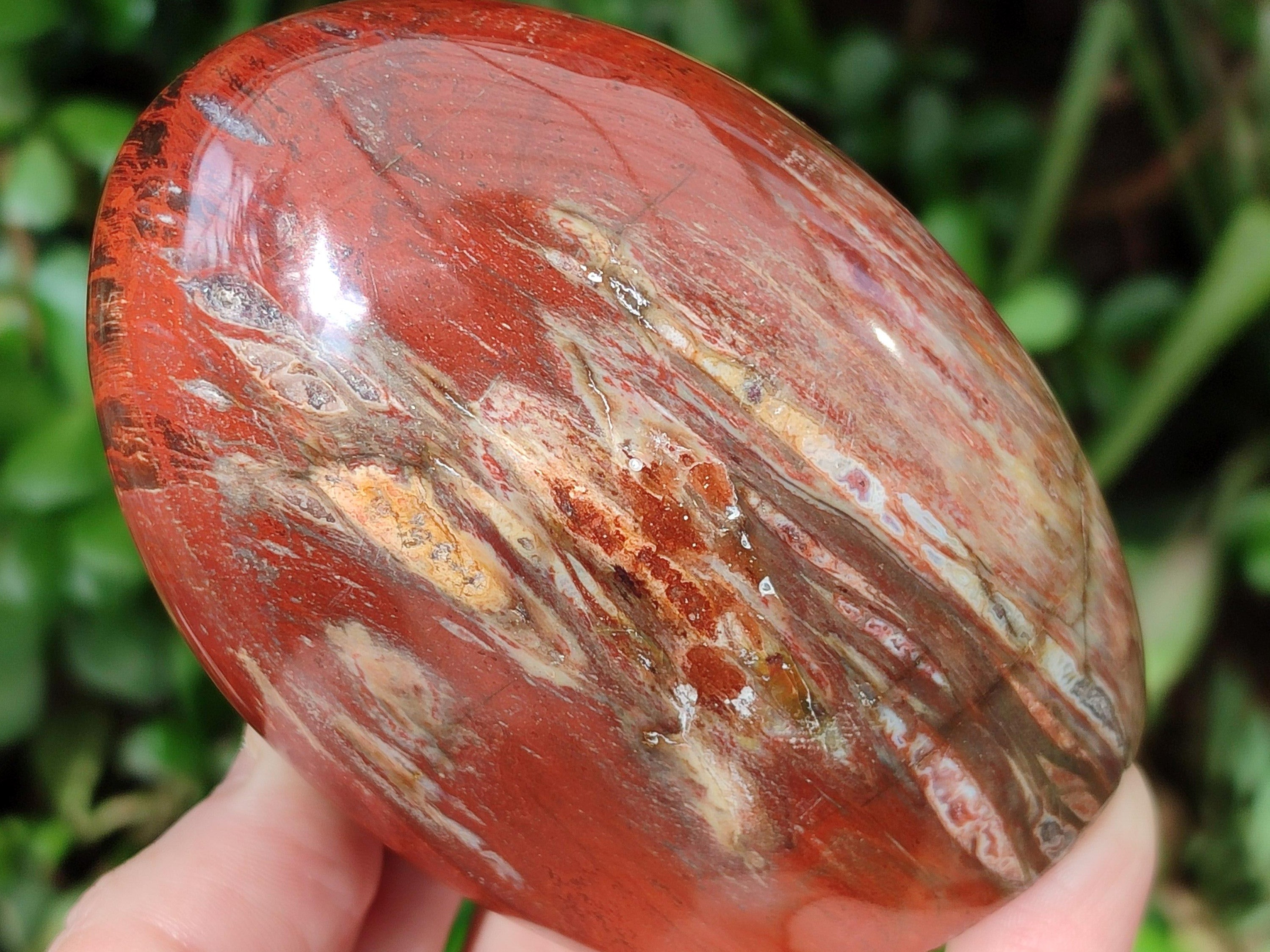 Polished Red Podocarpus Petrified Wood Standing Free Forms x 4 From Mahajanga, Madagascar