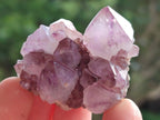 Natural Sunburst Amethyst Spirit Clusters x 20 From Boekenhouthoek, South Africa