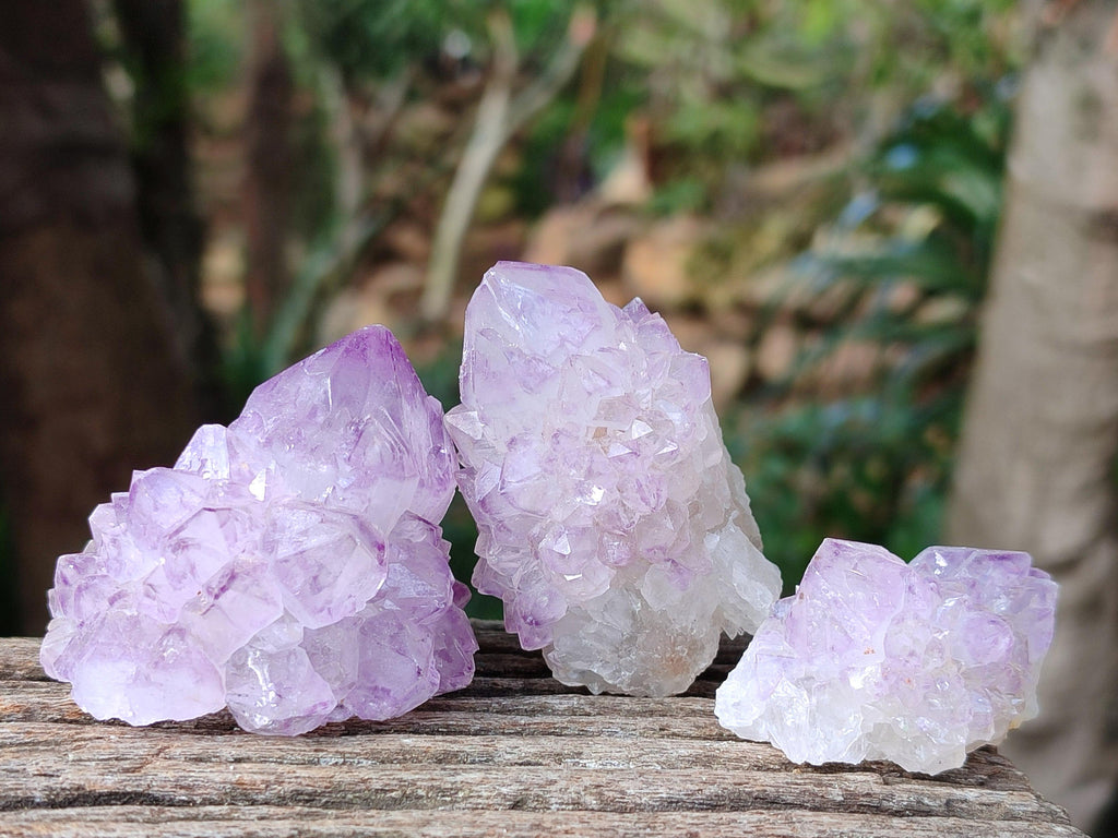 Natural Sunburst Amethyst Spirit Clusters x 20 From Boekenhouthoek, South Africa