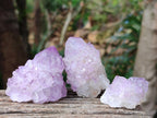 Natural Sunburst Amethyst Spirit Clusters x 20 From Boekenhouthoek, South Africa