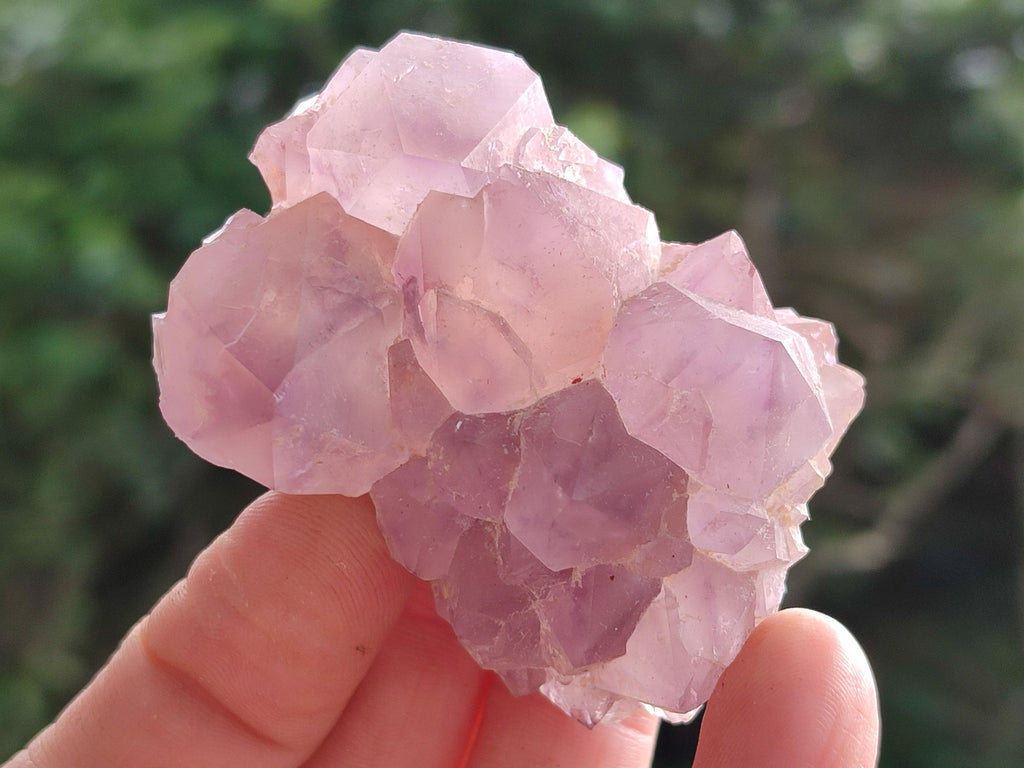Natural Sunburst Amethyst Spirit Clusters x 20 From Boekenhouthoek, South Africa