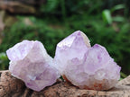 Natural Sunburst Amethyst Spirit Clusters x 20 From Boekenhouthoek, South Africa