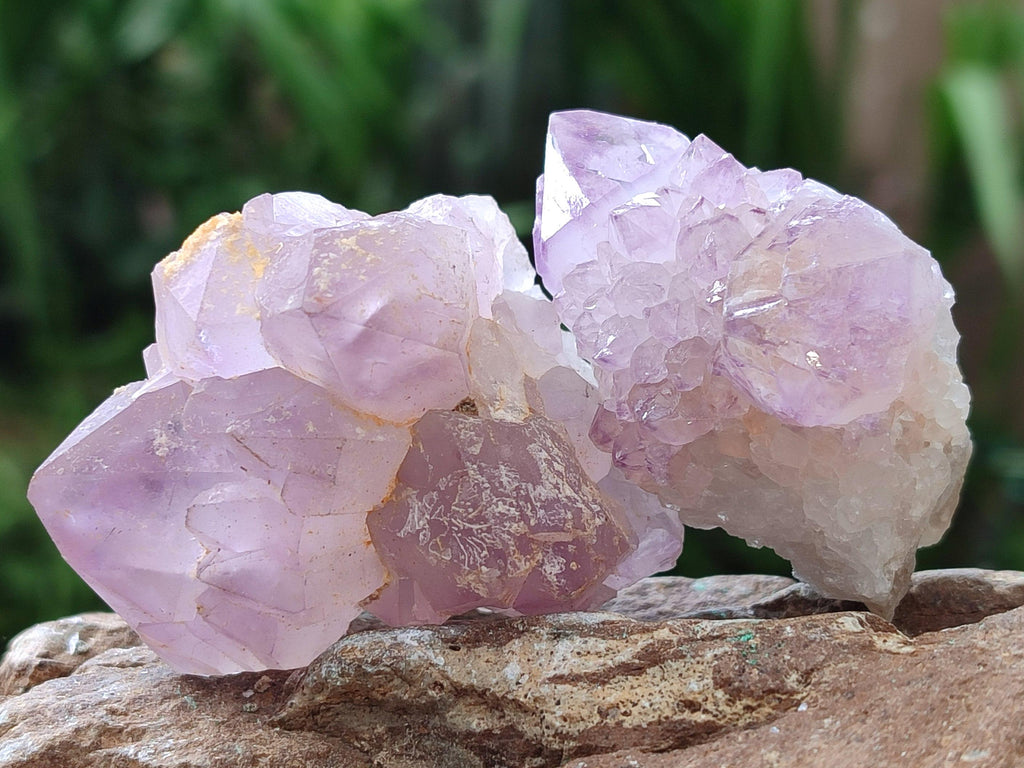 Natural Sunburst Amethyst Spirit Clusters x 20 From Boekenhouthoek, South Africa