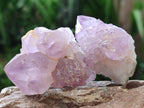 Natural Sunburst Amethyst Spirit Clusters x 20 From Boekenhouthoek, South Africa