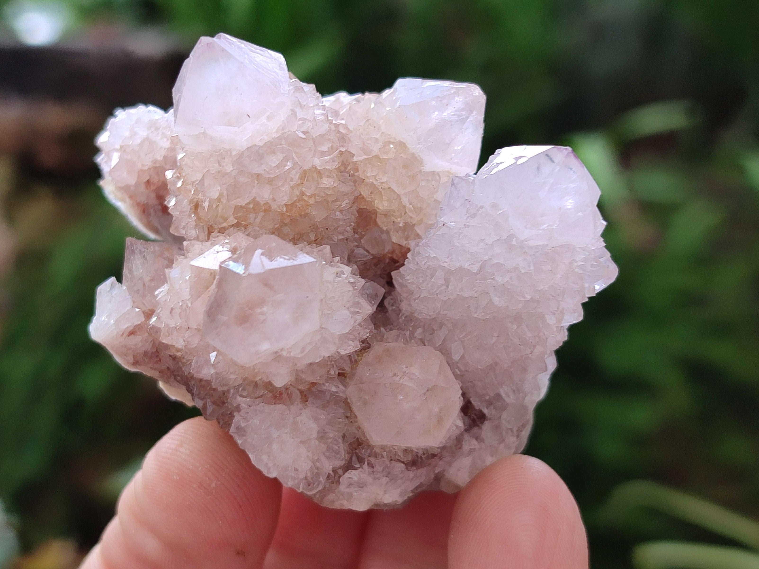 Natural Sunburst Amethyst Spirit Clusters x 20 From Boekenhouthoek, South Africa