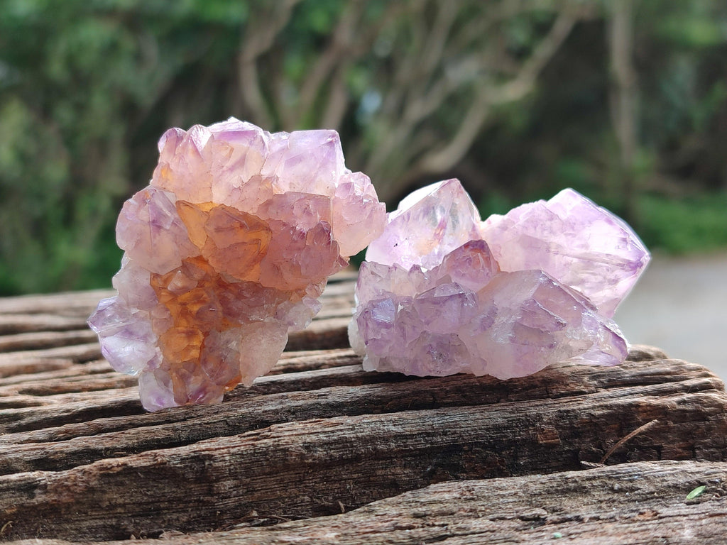 Natural Sunburst Amethyst Spirit Clusters x 20 From Boekenhouthoek, South Africa