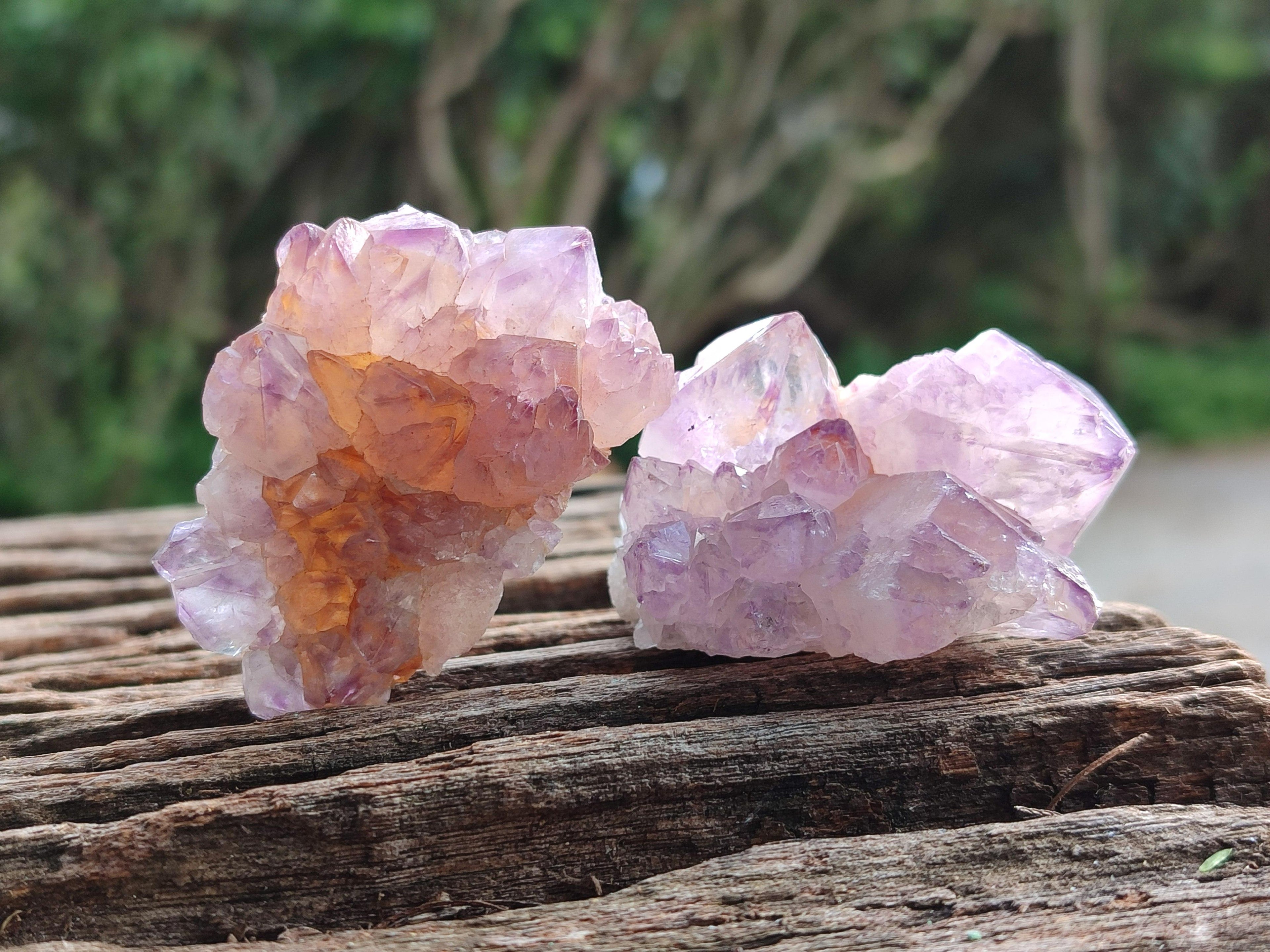 Natural Sunburst Amethyst Spirit Clusters x 20 From Boekenhouthoek, South Africa