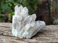 Natural Sugar Amethyst Clusters x 12 From Zambia
