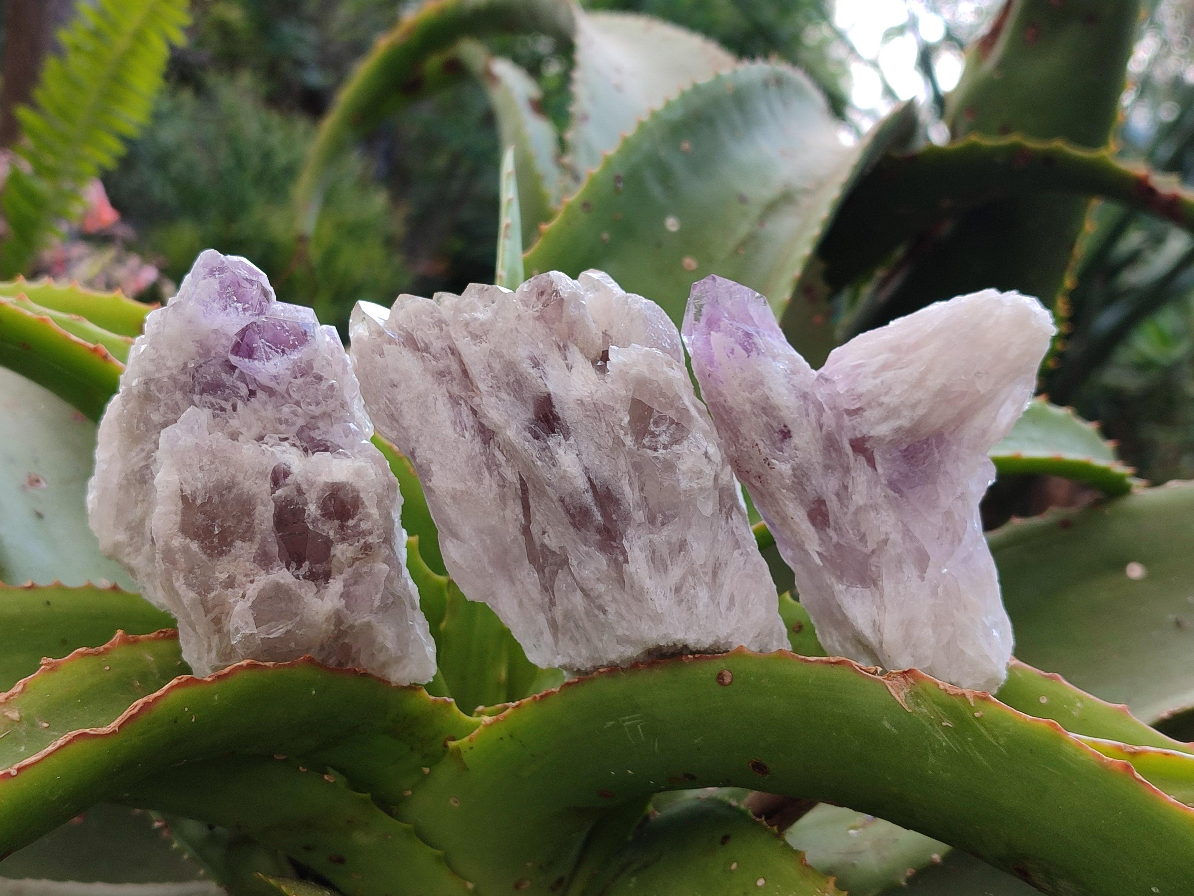 Natural Sugar Amethyst Clusters x 12 From Zambia - Toprock Gemstones and Minerals 