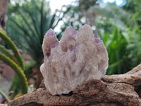 Natural Sugar Amethyst Clusters x 12 From Zambia