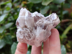 Natural Sugar Amethyst Clusters x 12 From Zambia - Toprock Gemstones and Minerals 