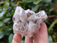 Natural Sugar Amethyst Clusters x 12 From Zambia