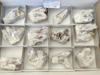 Natural Sugar Amethyst Clusters x 12 From Zambia