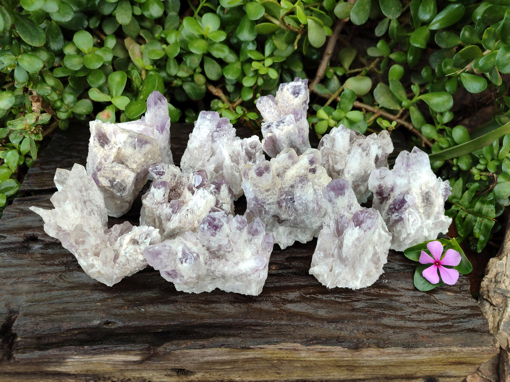 Natural Sugar Amethyst Clusters x 12 From Zambia - Toprock Gemstones and Minerals 