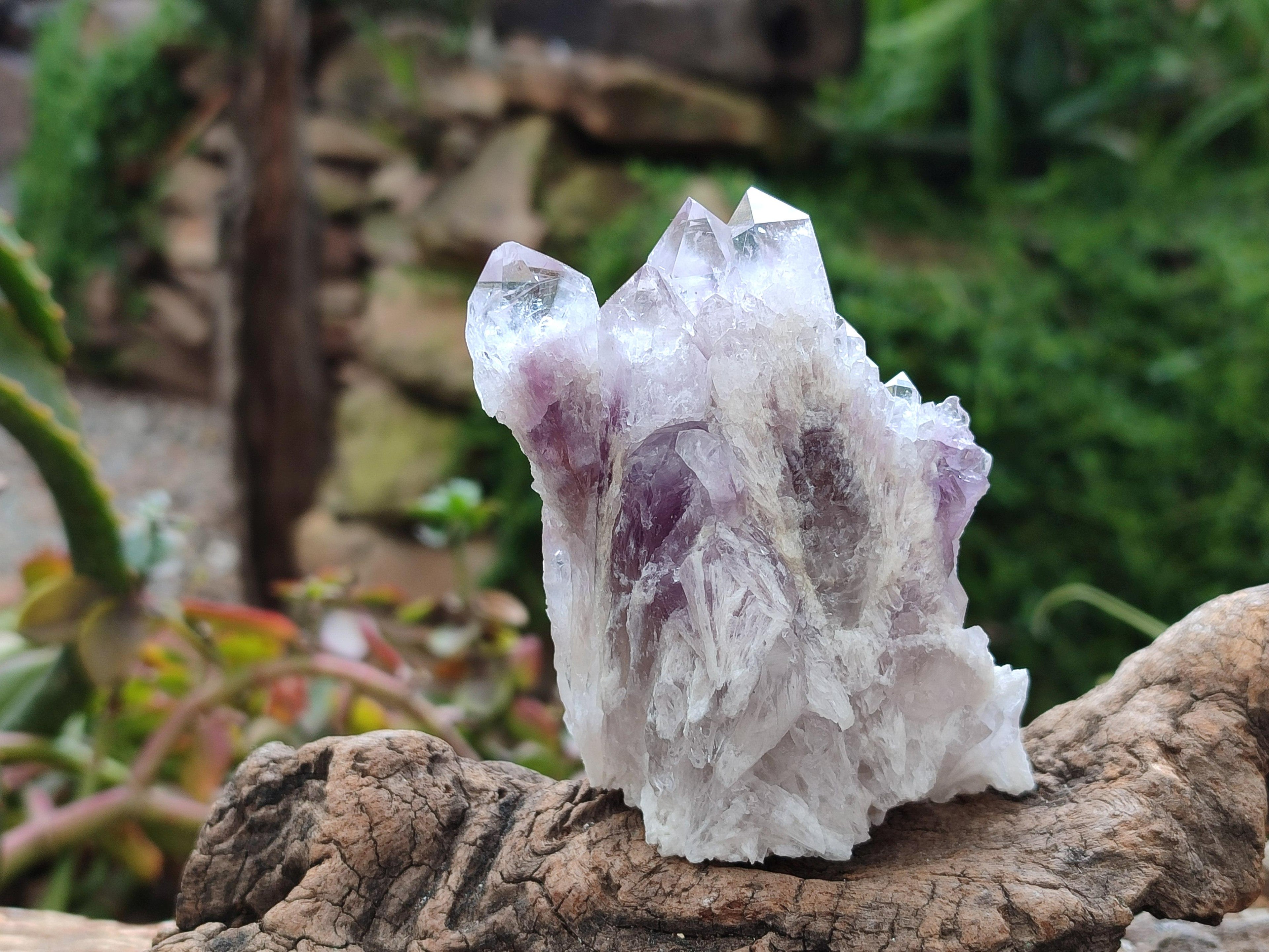 Natural Sugar Amethyst Clusters x 12 From Zambia - Toprock Gemstones and Minerals 