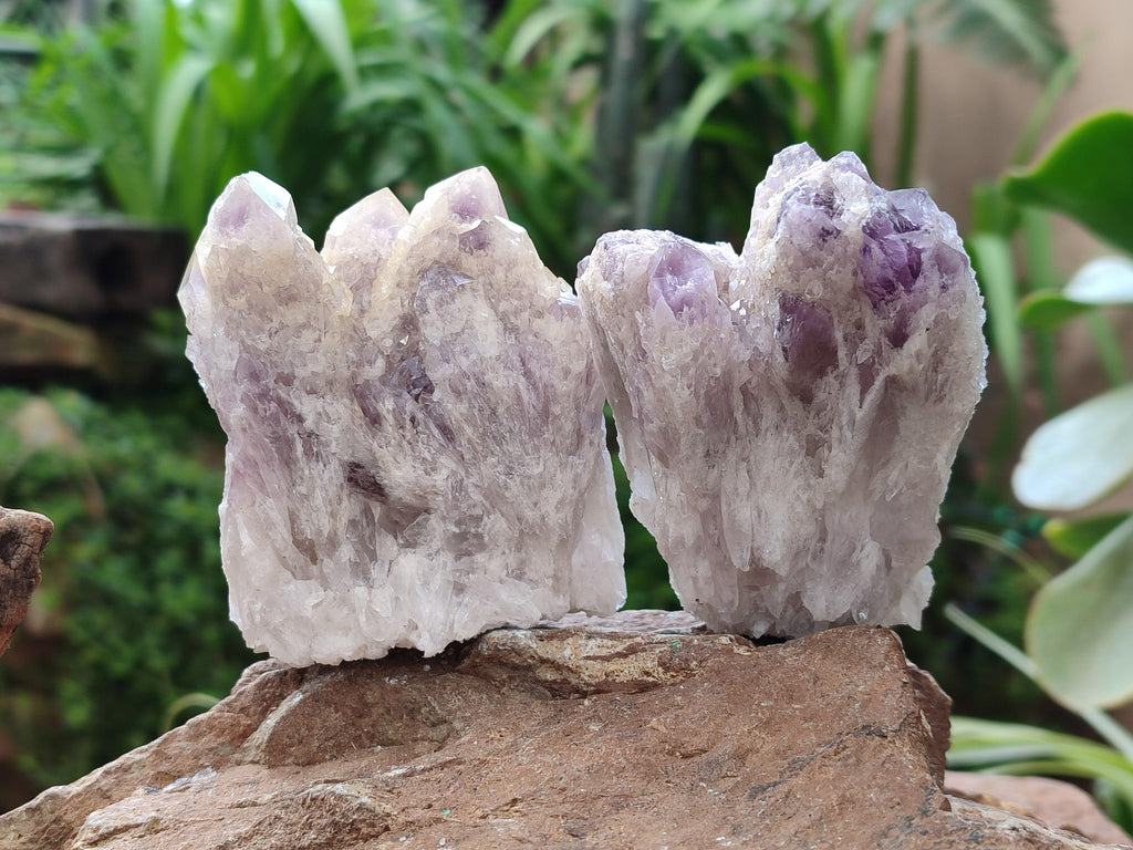 Natural Sugar Amethyst Clusters x 12 From Zambia - Toprock Gemstones and Minerals 
