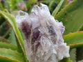 Natural Sugar Amethyst Clusters x 12 From Zambia - Toprock Gemstones and Minerals 