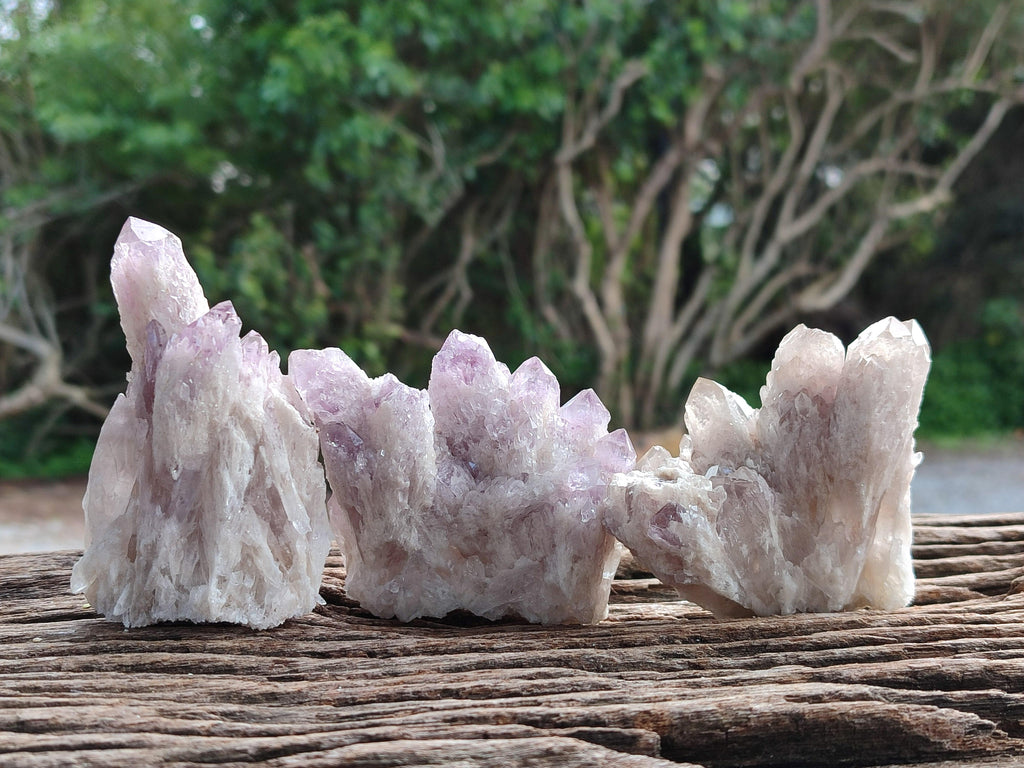 Natural Sugar Amethyst Clusters x 12 From Zambia - Toprock Gemstones and Minerals 