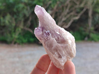 Natural Sugar Amethyst Clusters x 12 From Zambia