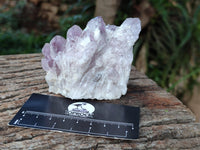 Natural Sugar Amethyst Clusters x 12 From Zambia