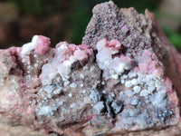 Natural Salrose Cobaltion Dolomite With Malachite Specimens x 12 From Kakanda, Congo