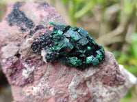 Natural Salrose Cobaltion Dolomite With Malachite Specimens x 12 From Kakanda, Congo
