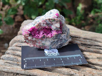 Natural Salrose Cobaltion Dolomite With Malachite Specimens x 12 From Kakanda, Congo